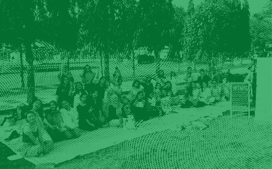 people gathering on a green park
